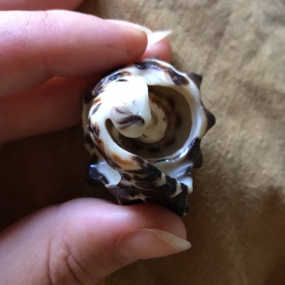 ๐งโโ๏ธ Seashell Statement Ring - Picture 4 of 4